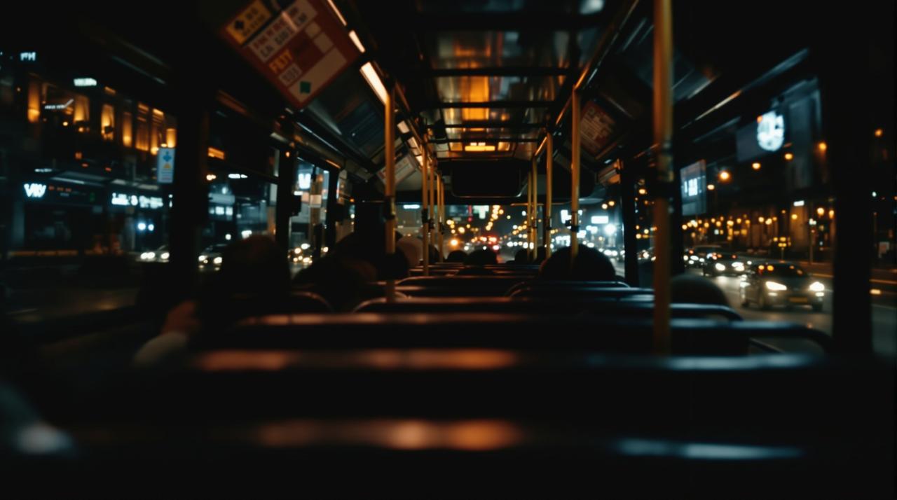www.视频-城市之光：午夜巴士代表作封面